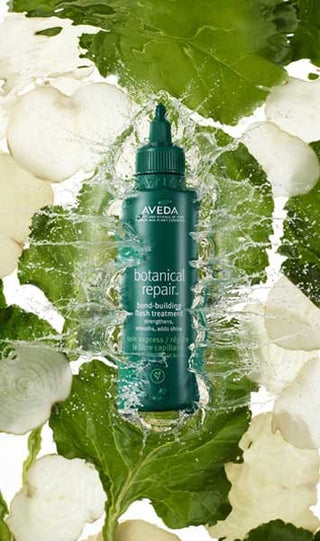AvedaBotanicalRepairBond-BuildingFlashTreatment_SilkRoutes_5