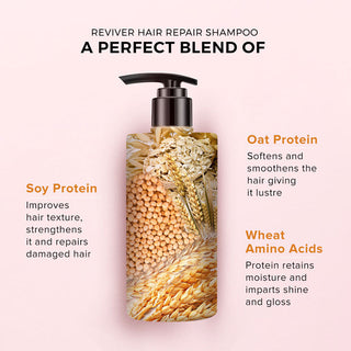 De Fabulous Reviver Hair Repair Shampoo_SilkRoutes_2