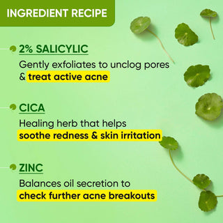 Dot_Key2_Salicylic_ZincSkinClearingFaceSerum_Cica_Cactus__silkroutes_5