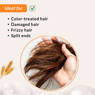 FideliaShampooForDamaged_Dry_andChemicallyTreatedHair1_WheatAminoAcids_1_SoyaAminoAcids_1_Arginine_SilkRoutes_3