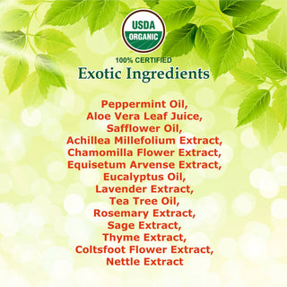 GiovanniGiovanniOrganicTeaTreeTripleTreatInvigoratingShampoo_SilkRoutes_3