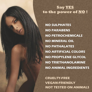 GiovanniGiovanniOrganicTeaTreeTripleTreatInvigoratingShampoo_SilkRoutes_4