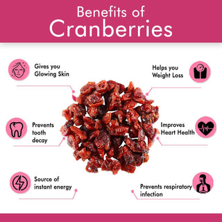 JEWELFARMERAmericanDriedCranberriesGlutenFreeAntioxidants_Vitamin_DietaryFiberRichPackofUnsulfured_ReadytoEatDryCranberries_200g__Silkroutes2