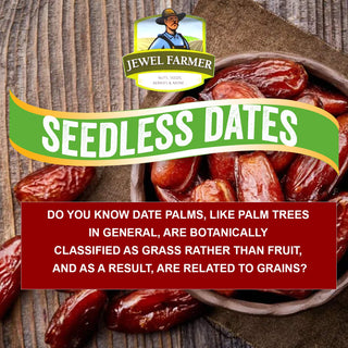 JEWELFARMERSeedlessDates-400gms_Silkroutes1
