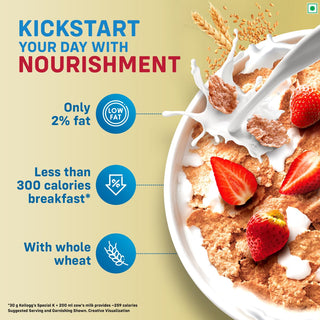 Kellogg_sOriginalSpecialK-900935g_Silkroutes3