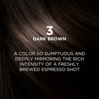L_OrealParisExcellenceCremeTripleCareHairColor-3DarkBrown_SilkRoutes_4
