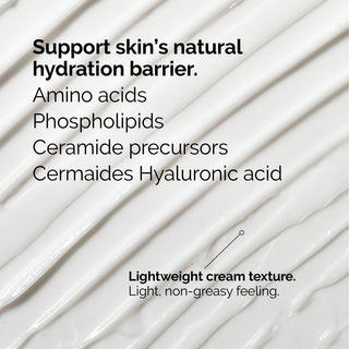NaturalMoisturizingFactors_HA_SilkRoutes_3