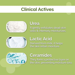 The Derma Co 4% Urea Deep Moisturizing Cream _SilkRoutes_5