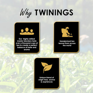 TwiningsDarjeelingGreenTea-WholeLeaf_Loose_100g_SilkRoutes_4