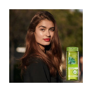 Yves Rocher Purity Purifying Shampoo(300ml)_SilkRoutes_3